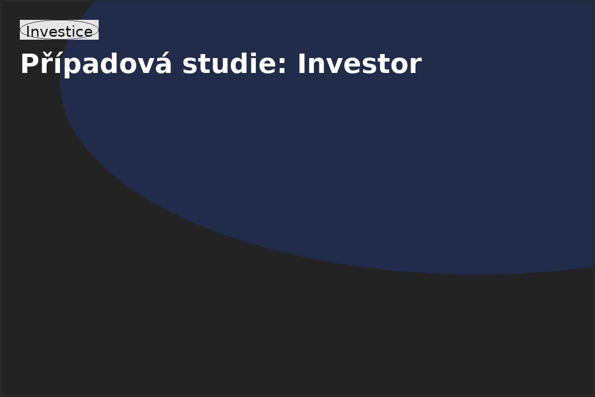 Případová studie – investor